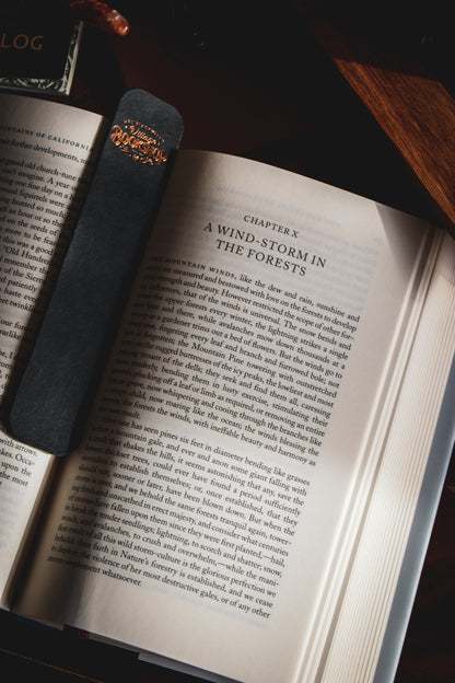 Selected Writings John Muir