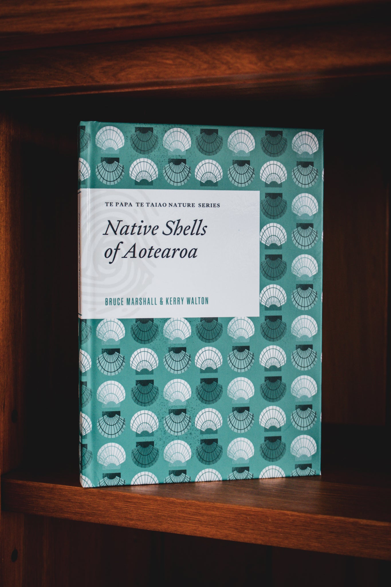 Native Shells of Aotearoa