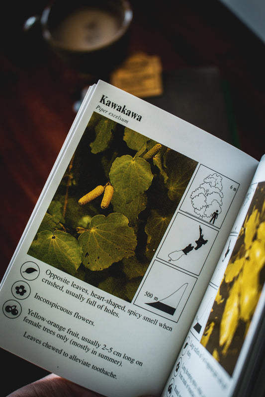 Mini Guide To The Identification of New Zealand Native Trees