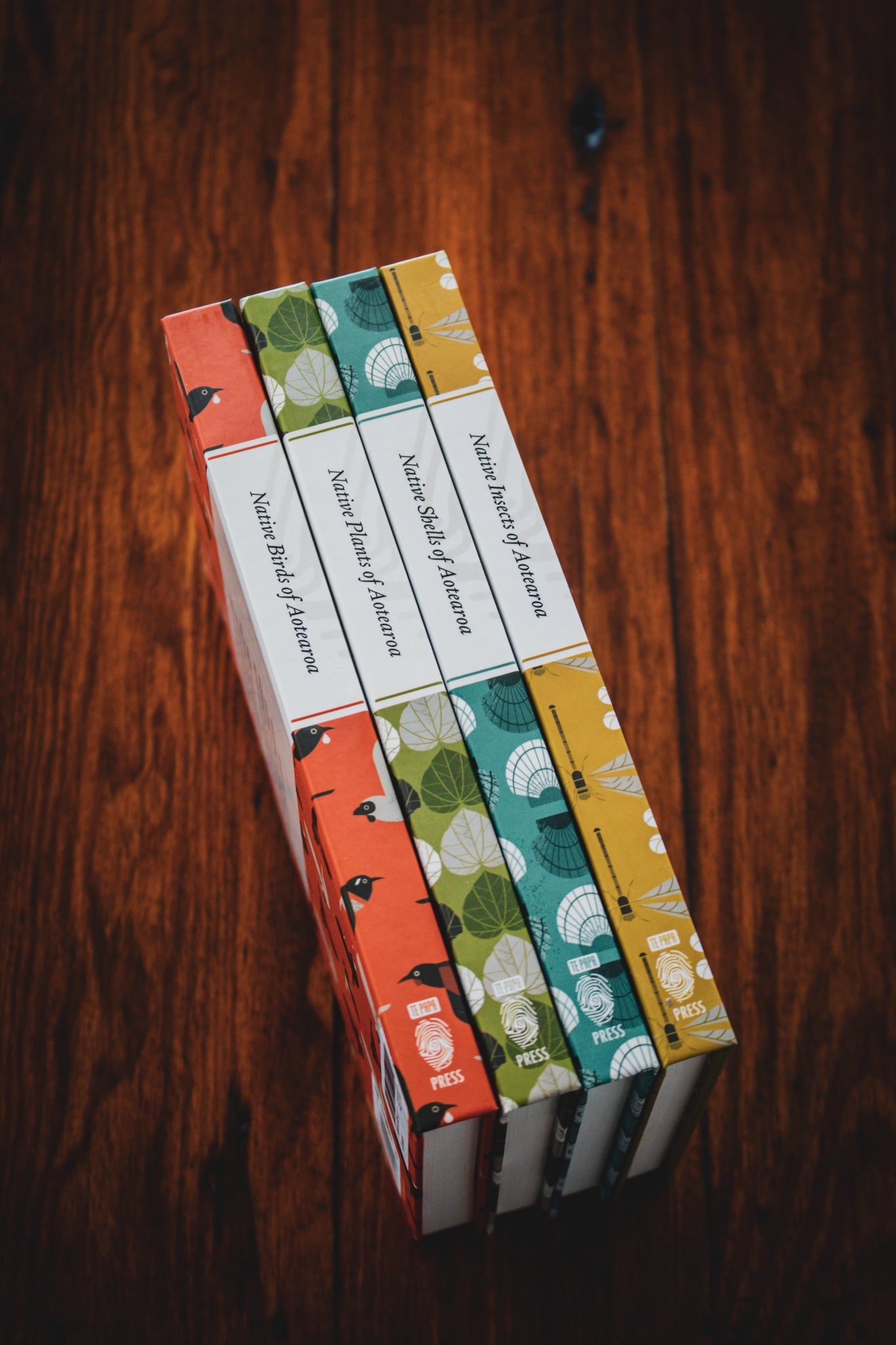 Native Shells of Aotearoa