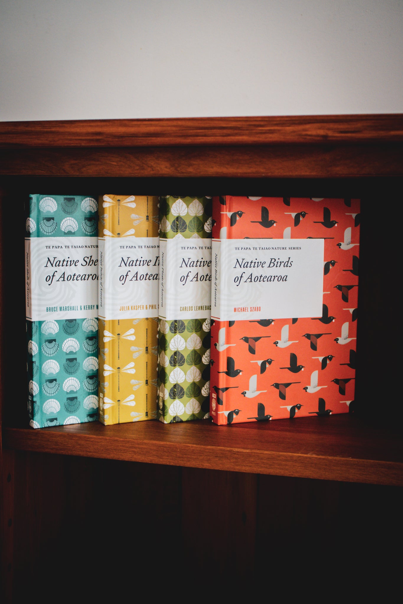 Native Shells of Aotearoa