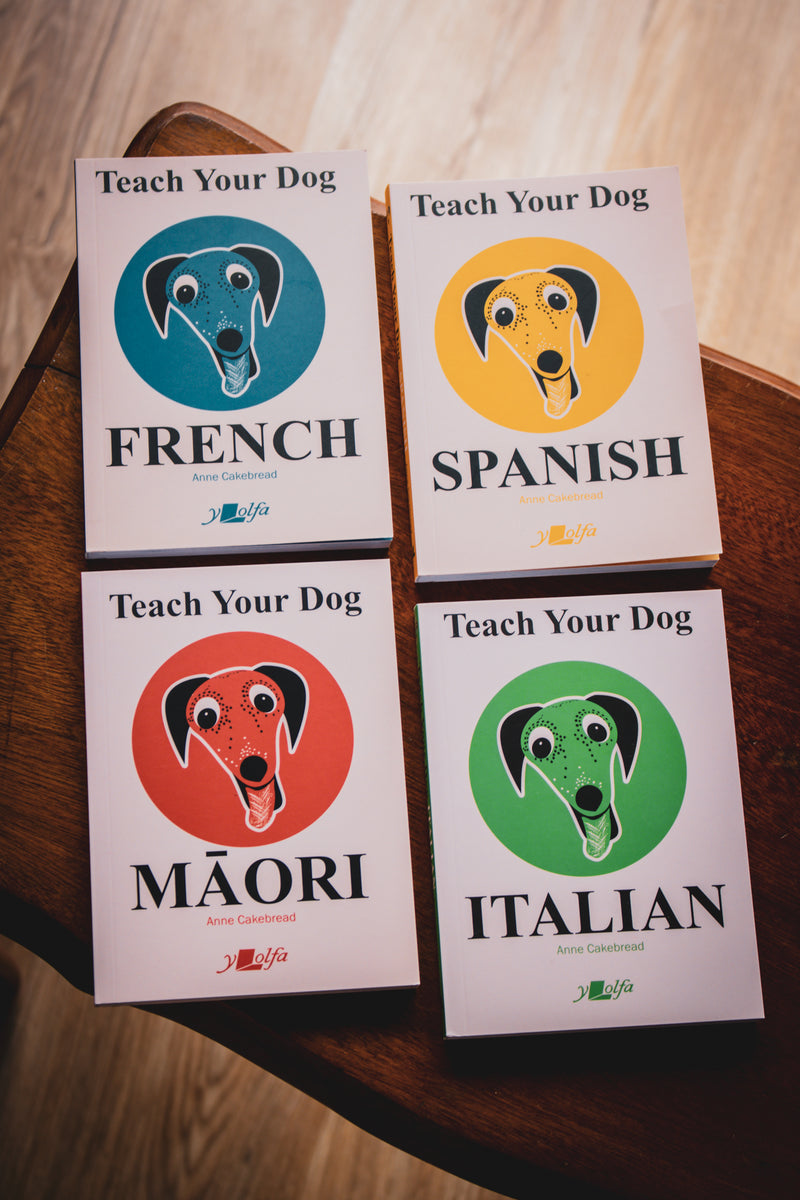 Teach Your Dog Spanish