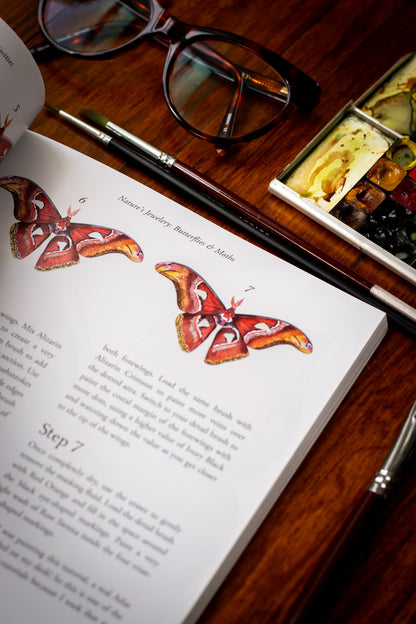 Watercolor Cabinet of Curiosities