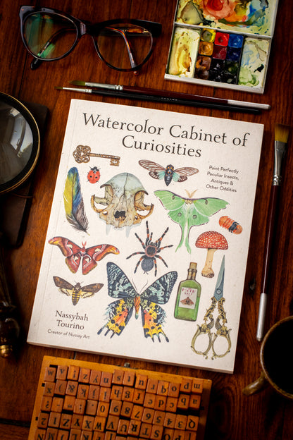 Watercolor Cabinet of Curiosities