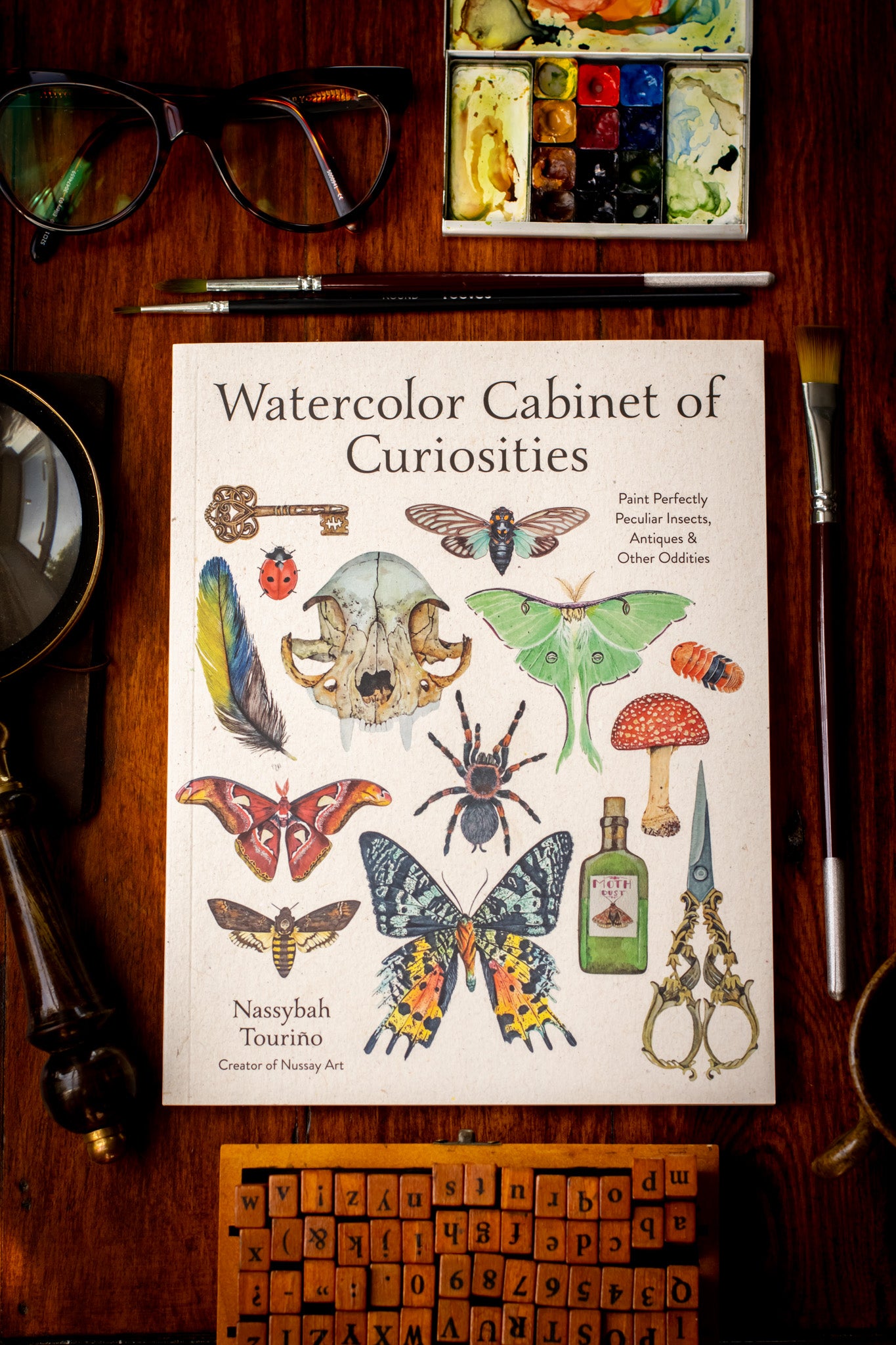 Watercolor Cabinet of Curiosities