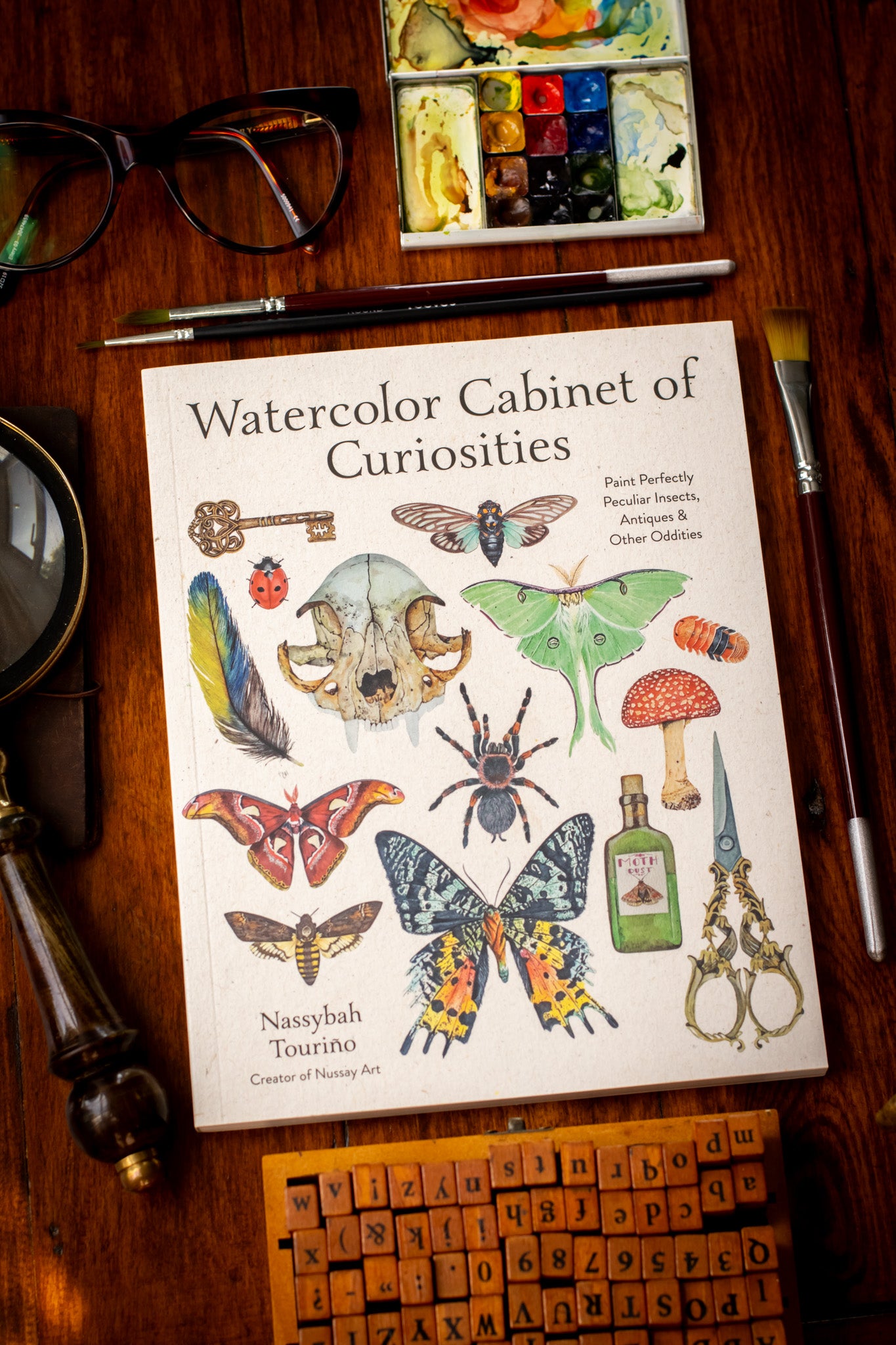 Watercolor Cabinet of Curiosities