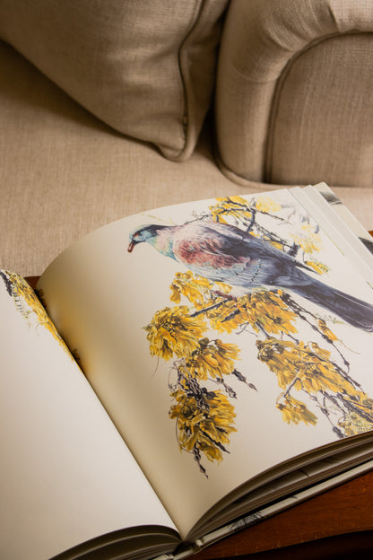 Feathers of Aotearoa