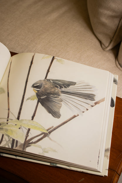 Feathers of Aotearoa