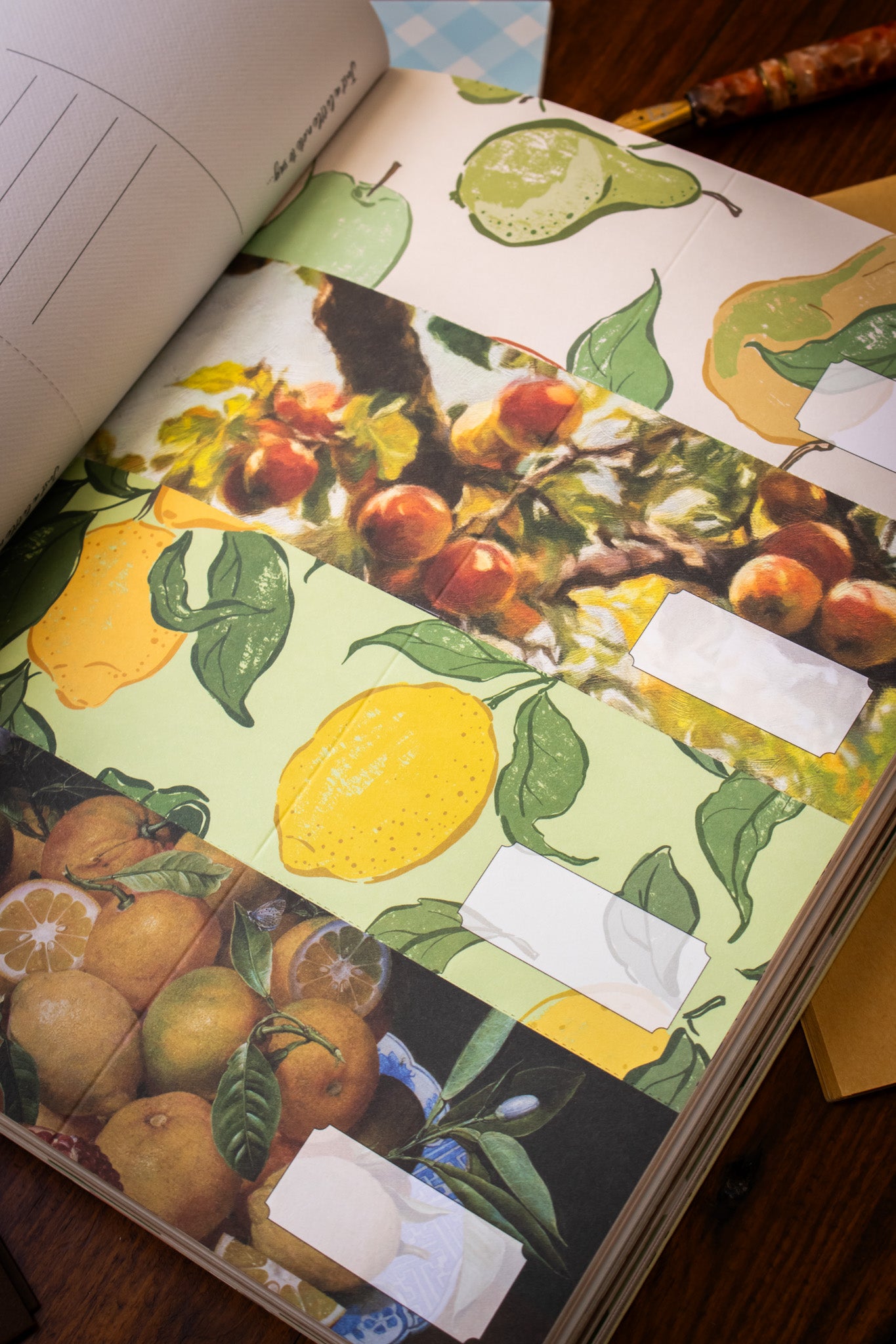 Paper Paper Paper An Appetizing Collection
