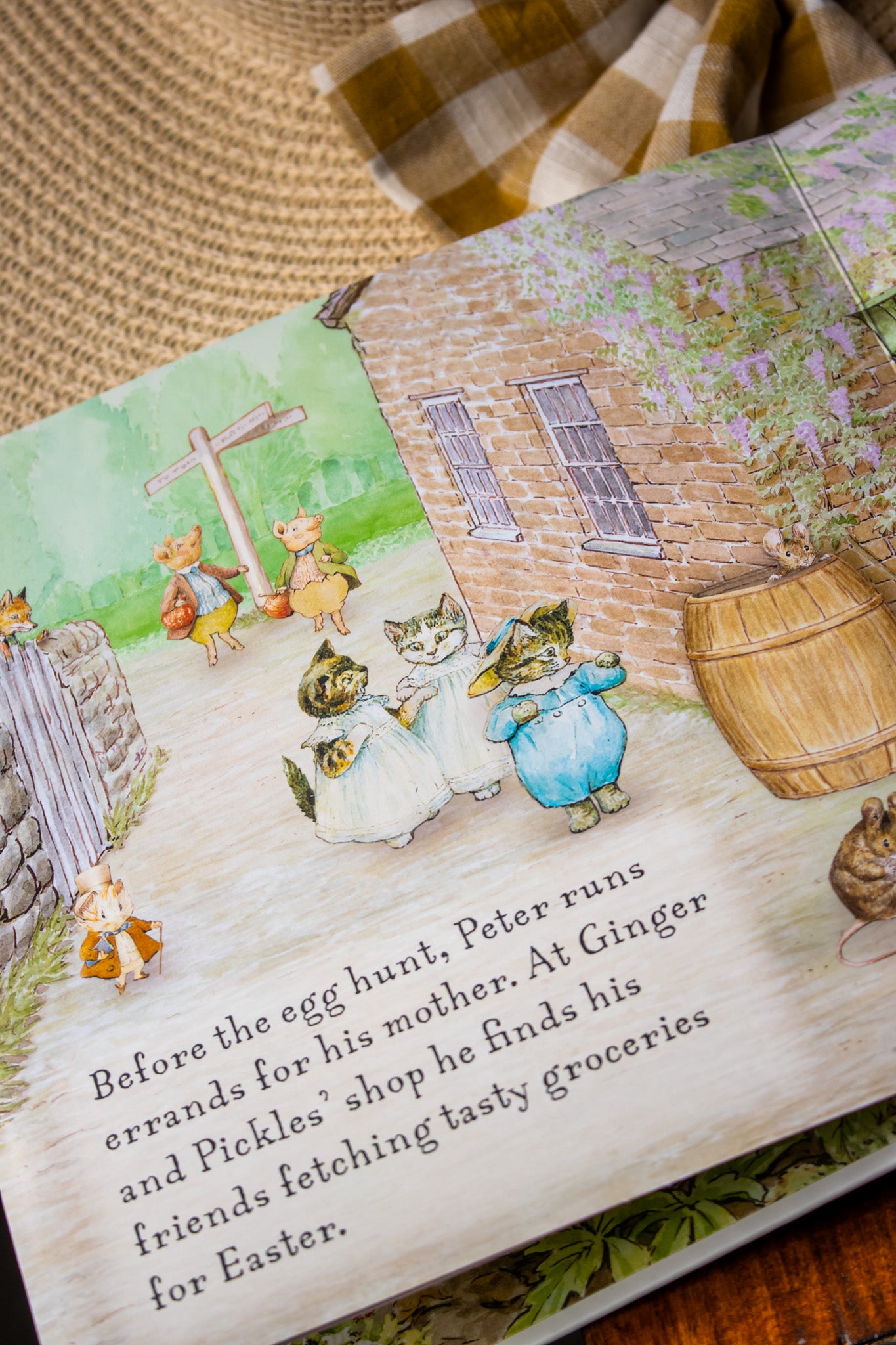 Peter Rabbit: Easter Egg Hunt – Mrs Blackwell's Village Bookshop Greytown