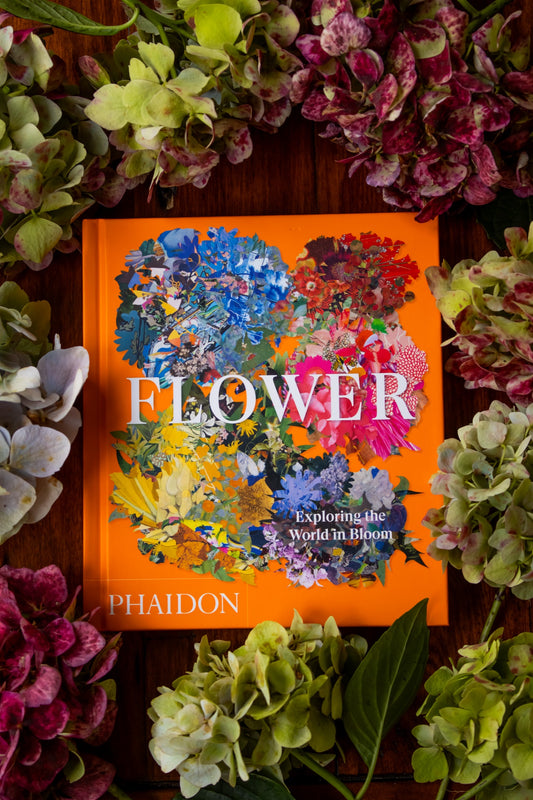 Flower: World in Bloom (Compact Edition)