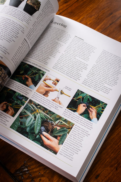 RHS Propagating Plants