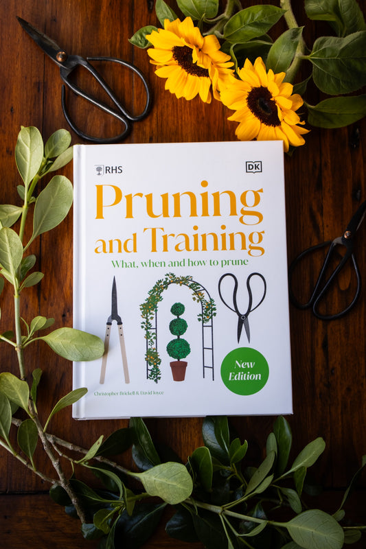 RHS Pruning and Training