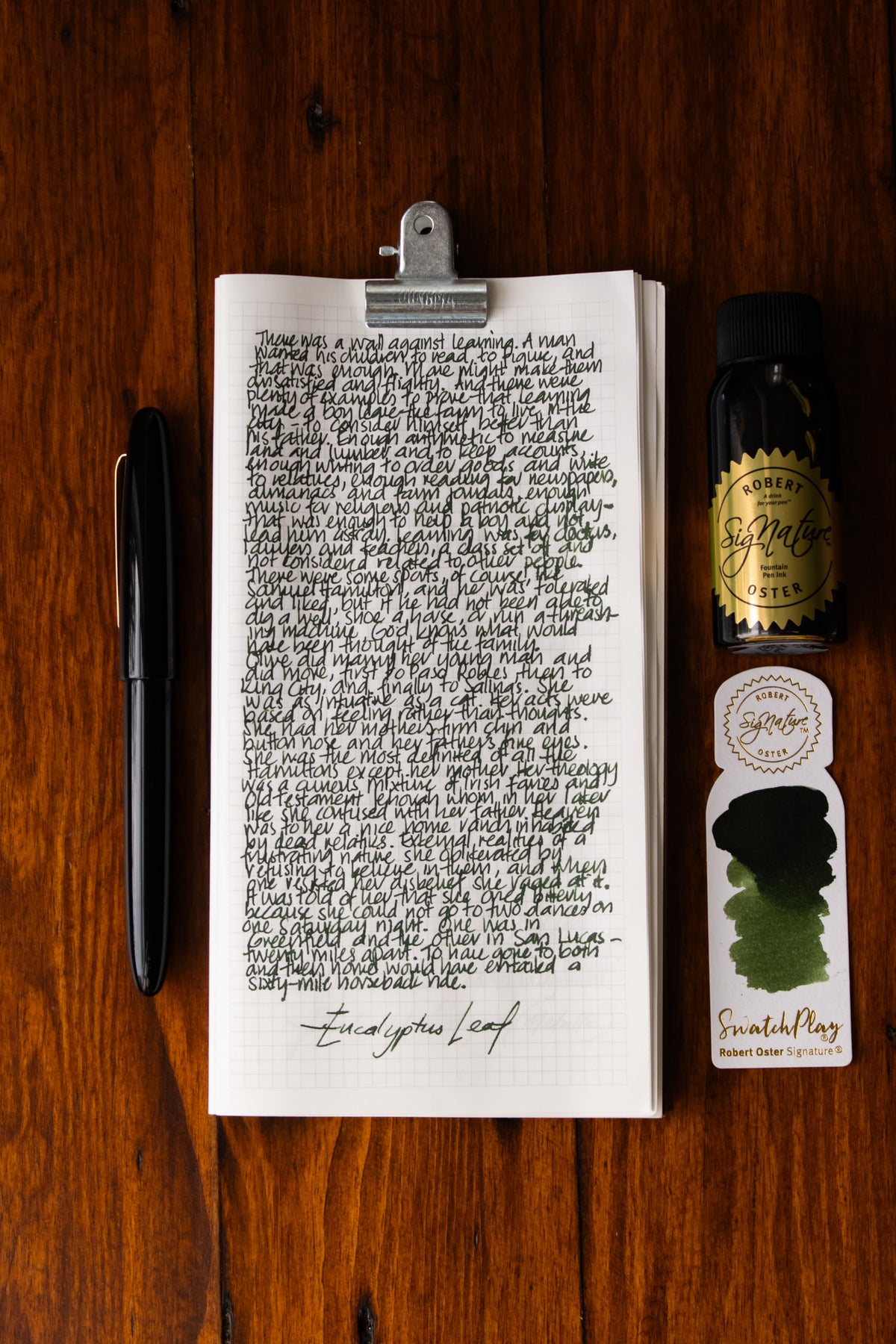 Fountain Pen Ink: Eucalyptus Leaf