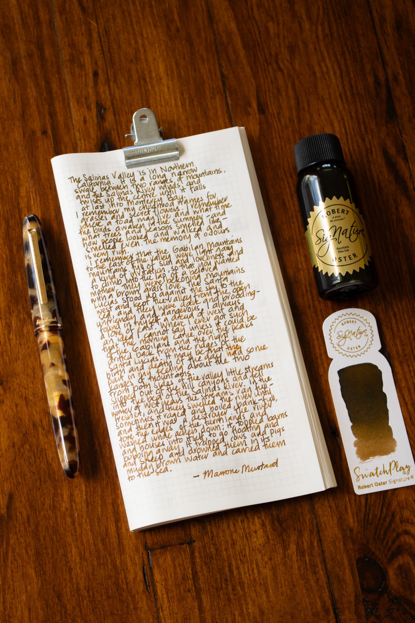 Fountain Pen Ink: Marrone Mustard
