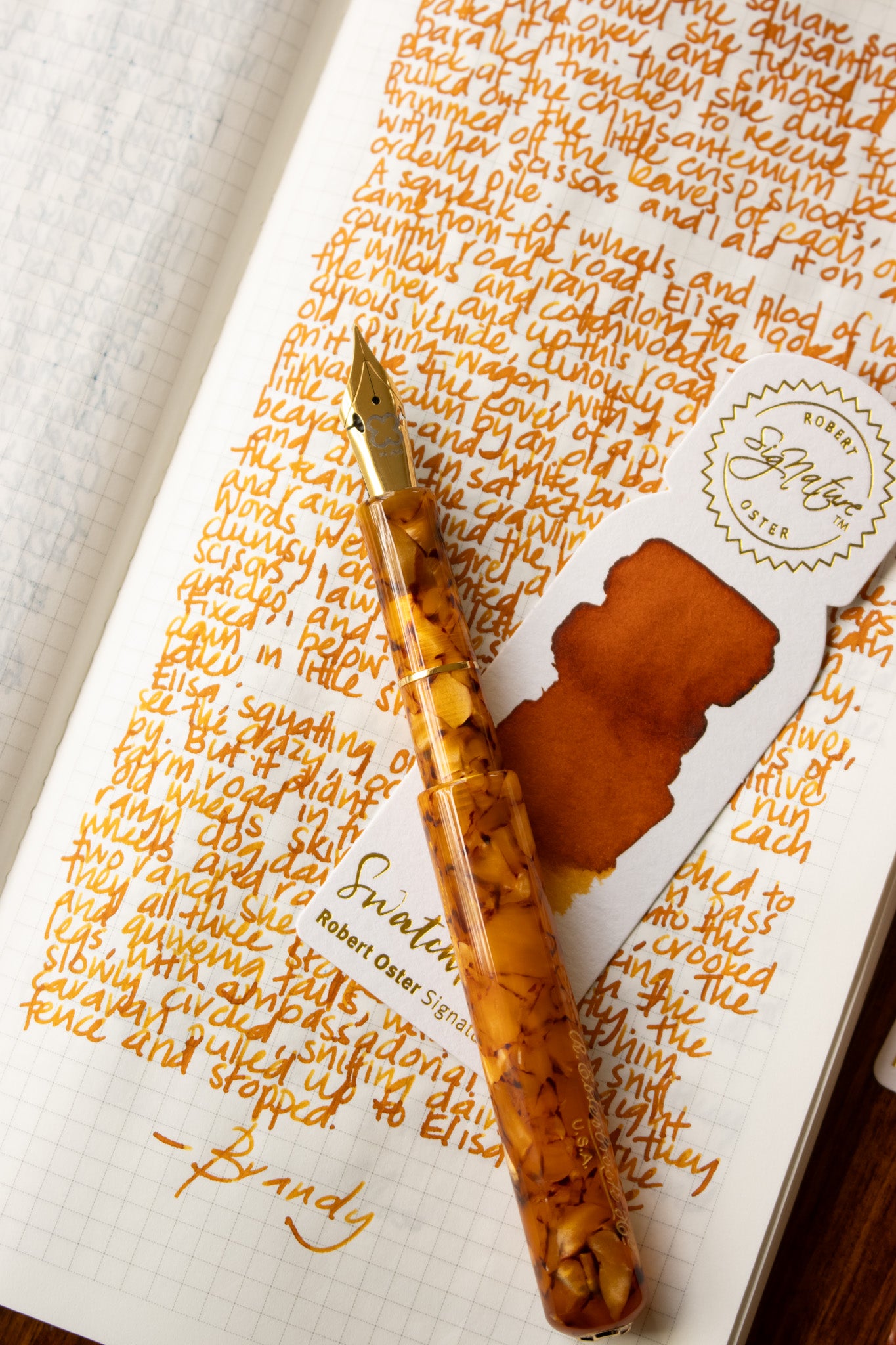 Fountain Pen Ink: Brandy