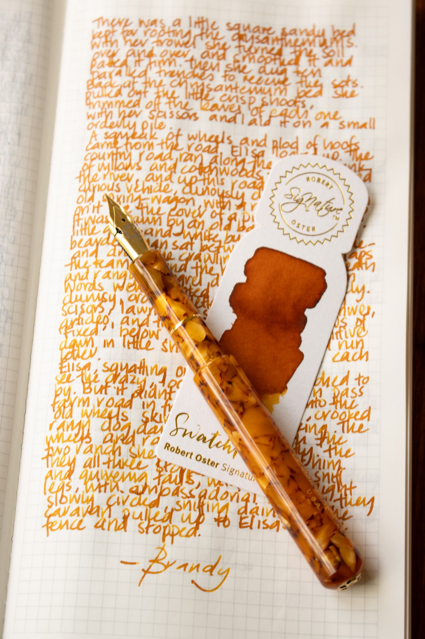 Fountain Pen Ink: Brandy