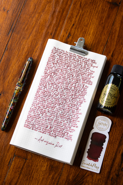 Fountain Pen Ink: Astorquiza-Rot