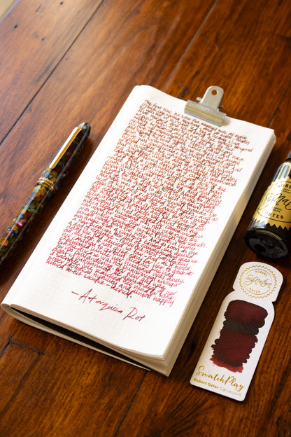Fountain Pen Ink: Astorquiza-Rot