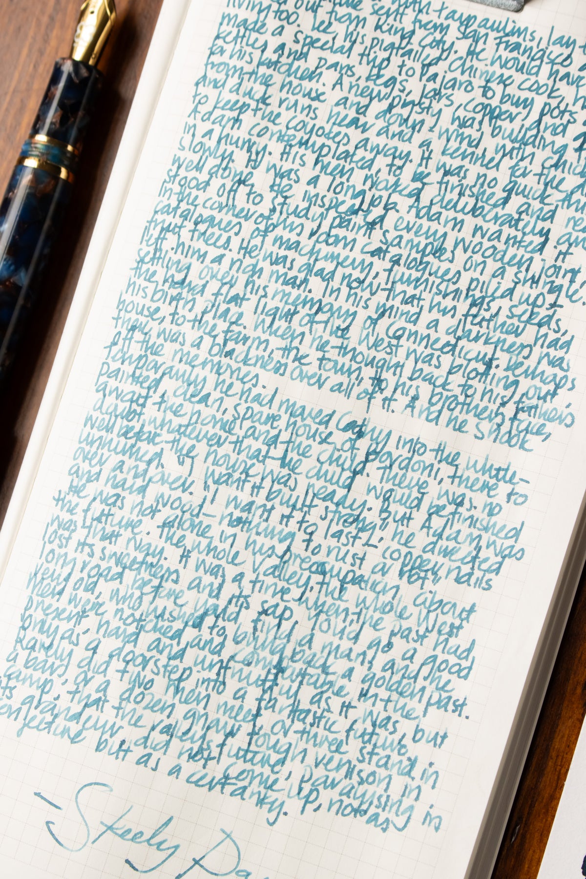 Fountain Pen Ink: Steely Days
