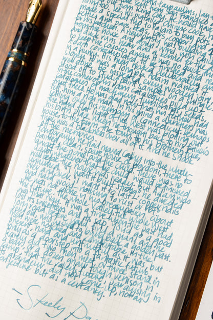 Fountain Pen Ink: Steely Days