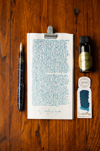 Fountain Pen Ink: Steely Days