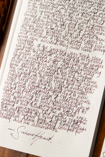 Fountain Pen Ink: Sinner's Heart