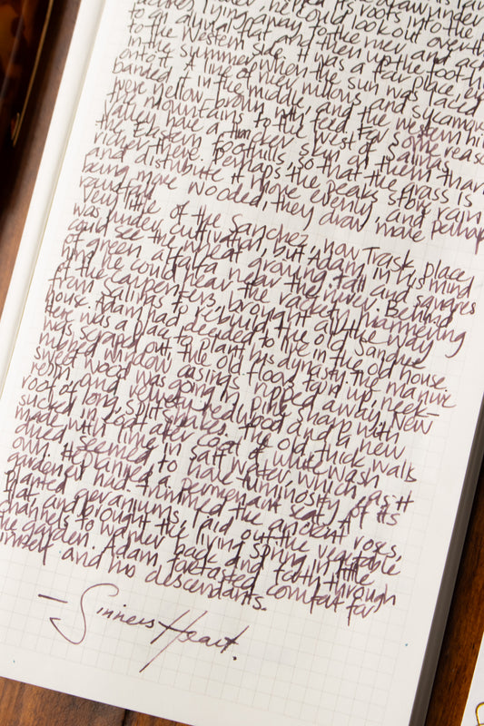 Fountain Pen Ink: Sinner's Heart