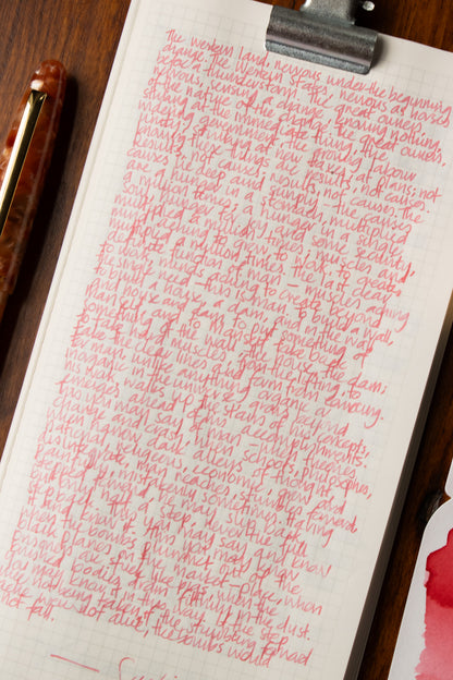 Fountain Pen Ink: Sushi