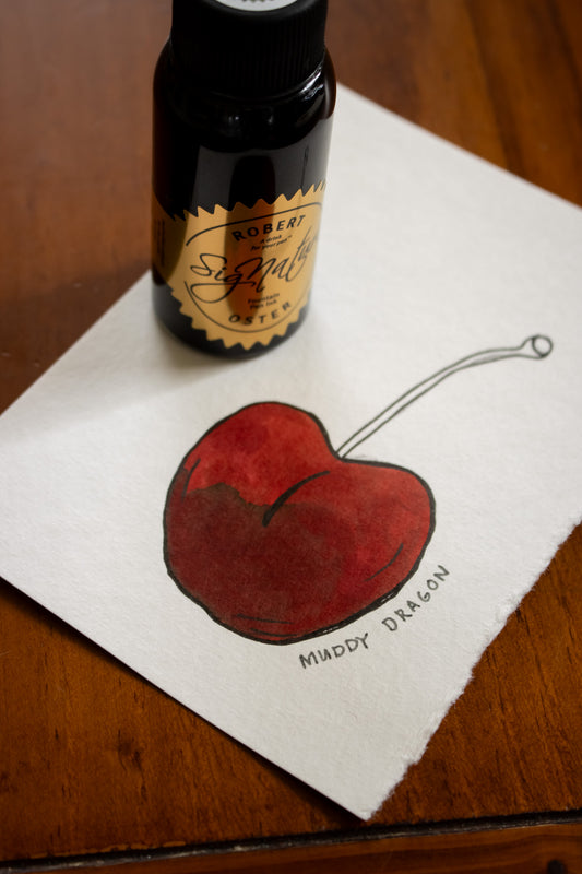 Fountain Pen Ink: Muddy Dragon