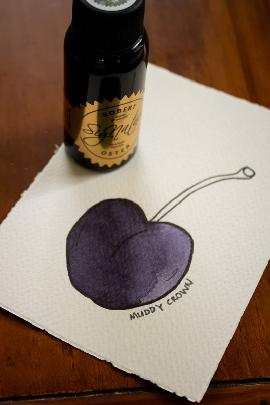 Fountain Pen Ink: Muddy Crown
