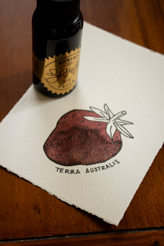 Fountain Pen Ink:  Terra Australis Shake'N'Shimmy