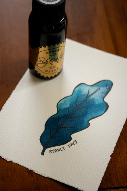 Fountain Pen Ink: Steely Days