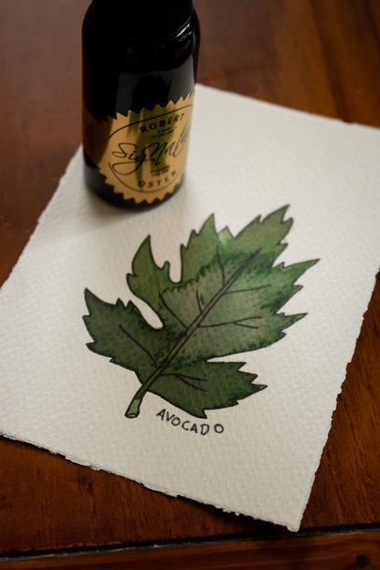 Fountain Pen Ink: Avocado