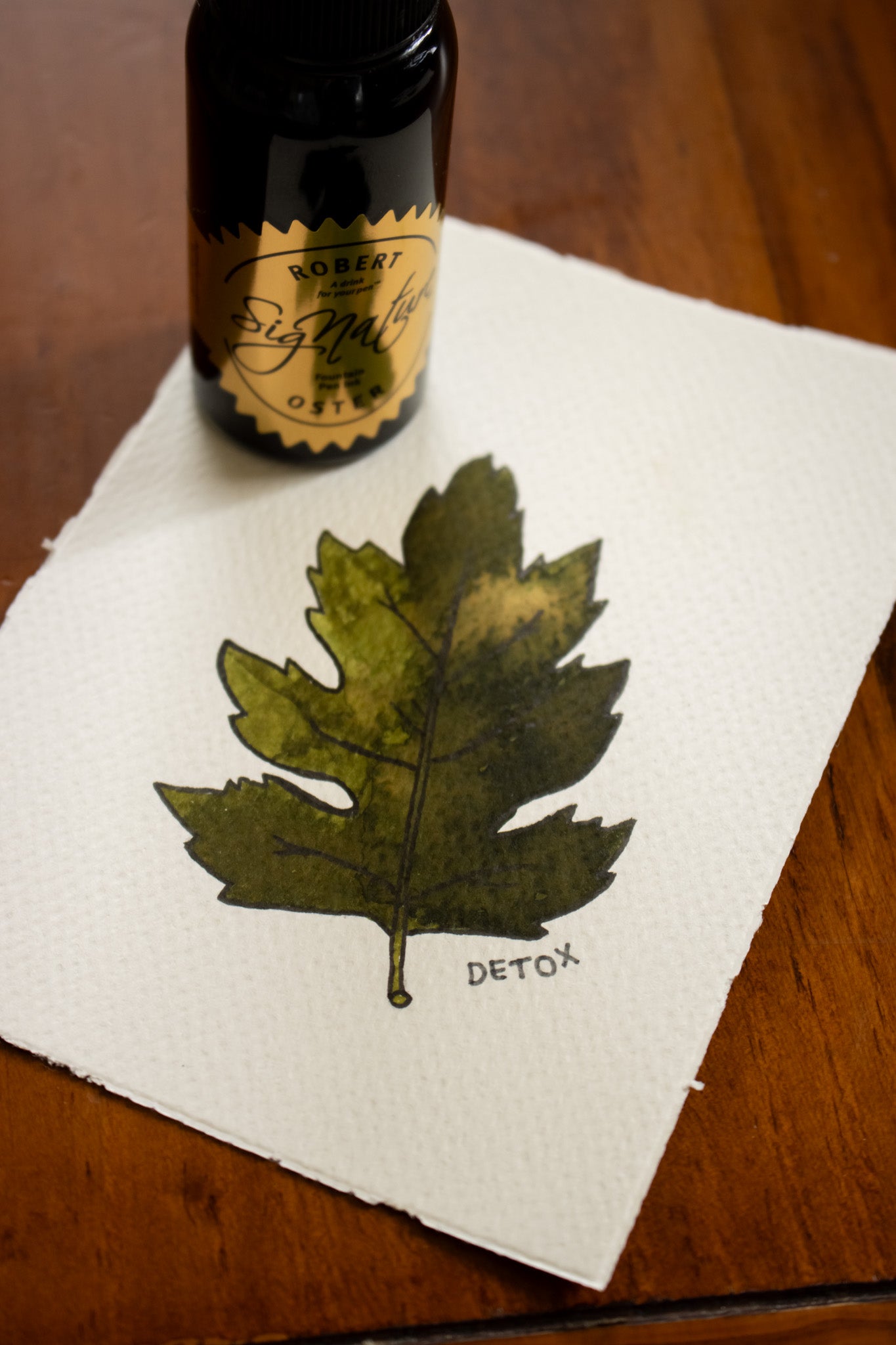 Fountain Pen Ink: Detox