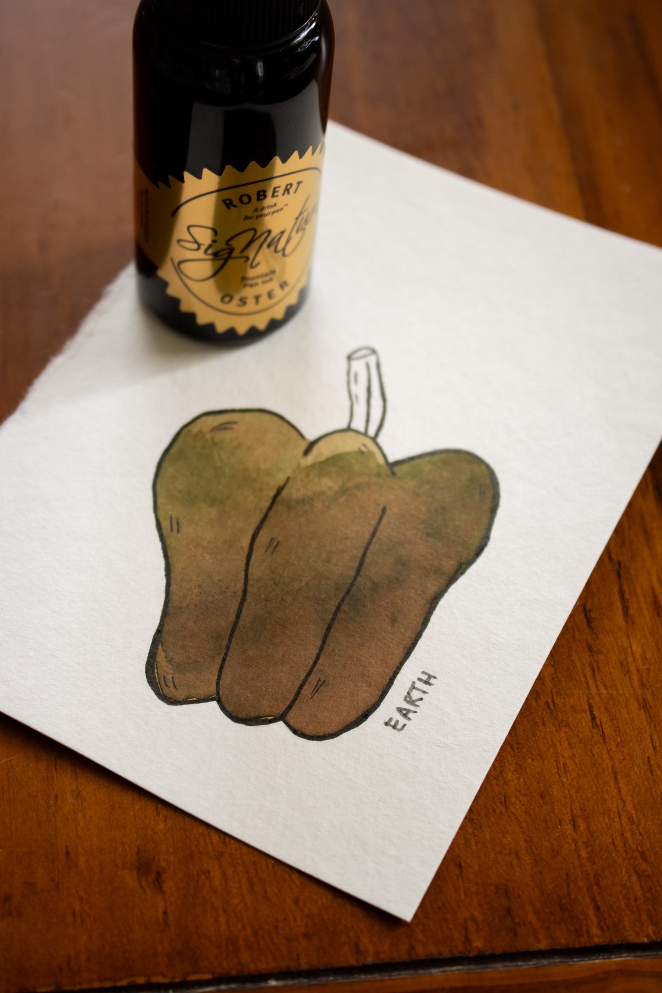 Fountain Pen Ink: Earth