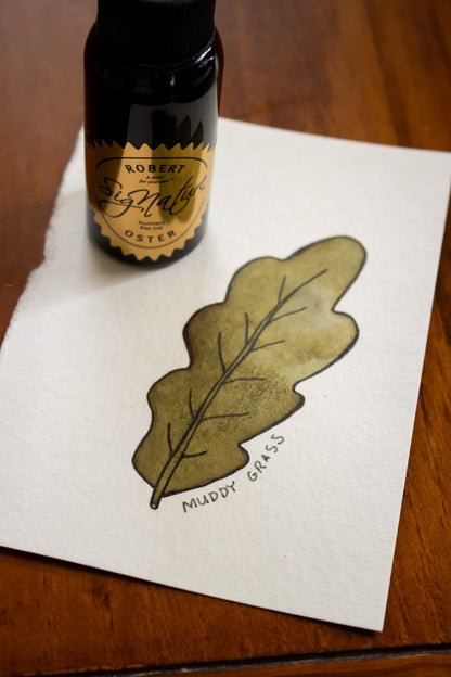 Fountain Pen Ink: Muddy Grass