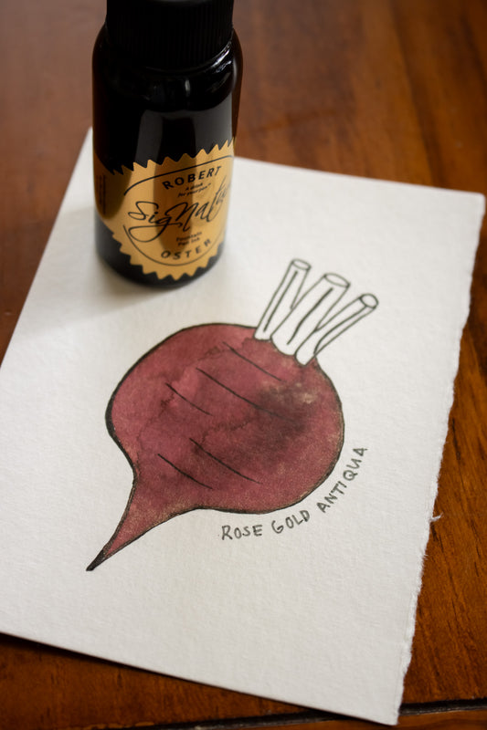 Fountain Pen Ink: Rose Gold Antiqua Shake’N’Shimmy