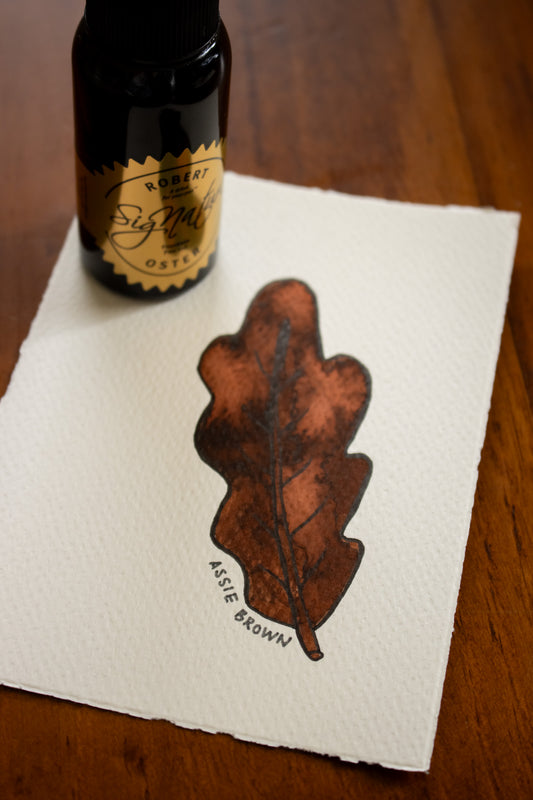 Fountain Pen Ink: Aussie Brown