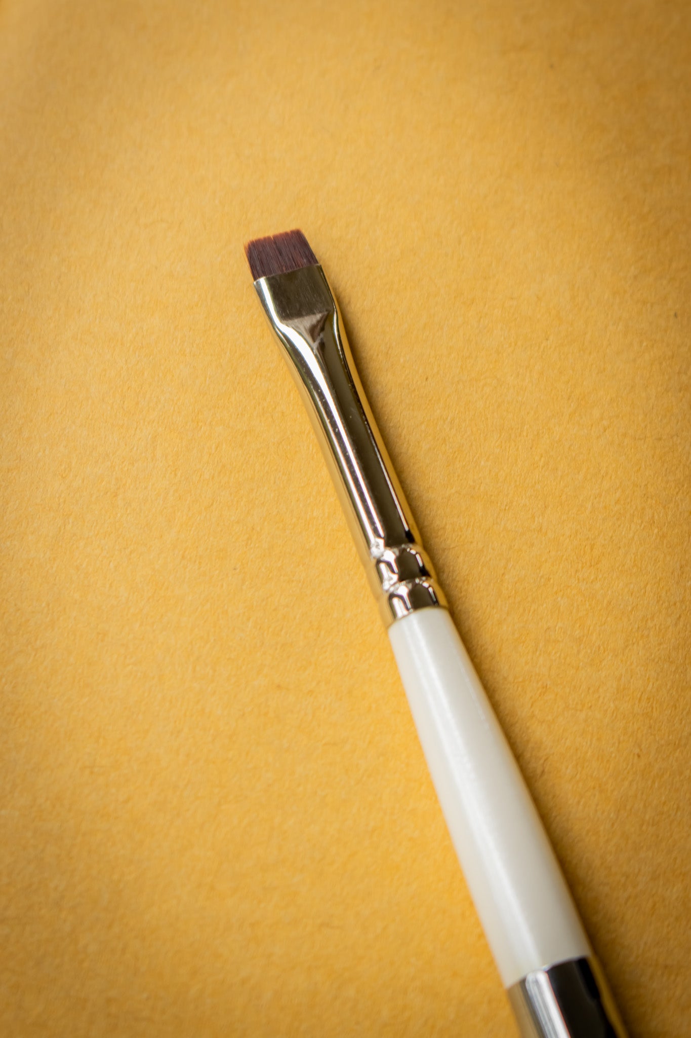 R24 Travel Brush, Pocket Eradicator - Small