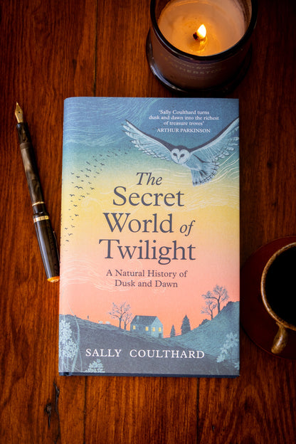 The Secret World of Twilight