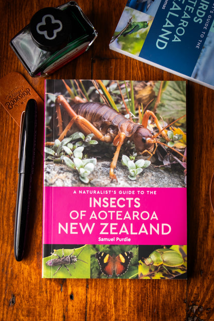 Naturalists Guide to the Insects of Aotearoa New Zealand