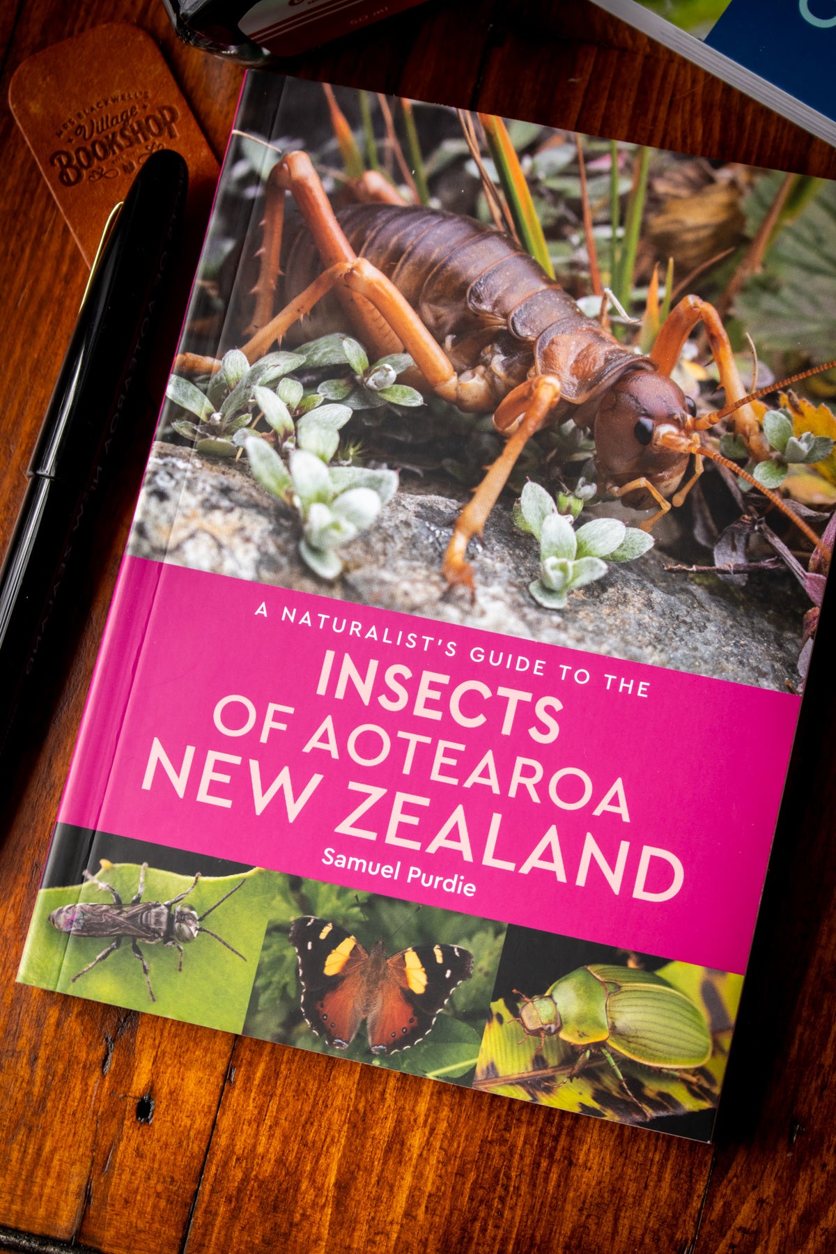 Naturalists Guide to the Insects of Aotearoa New Zealand