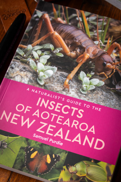 Naturalists Guide to the Insects of Aotearoa New Zealand