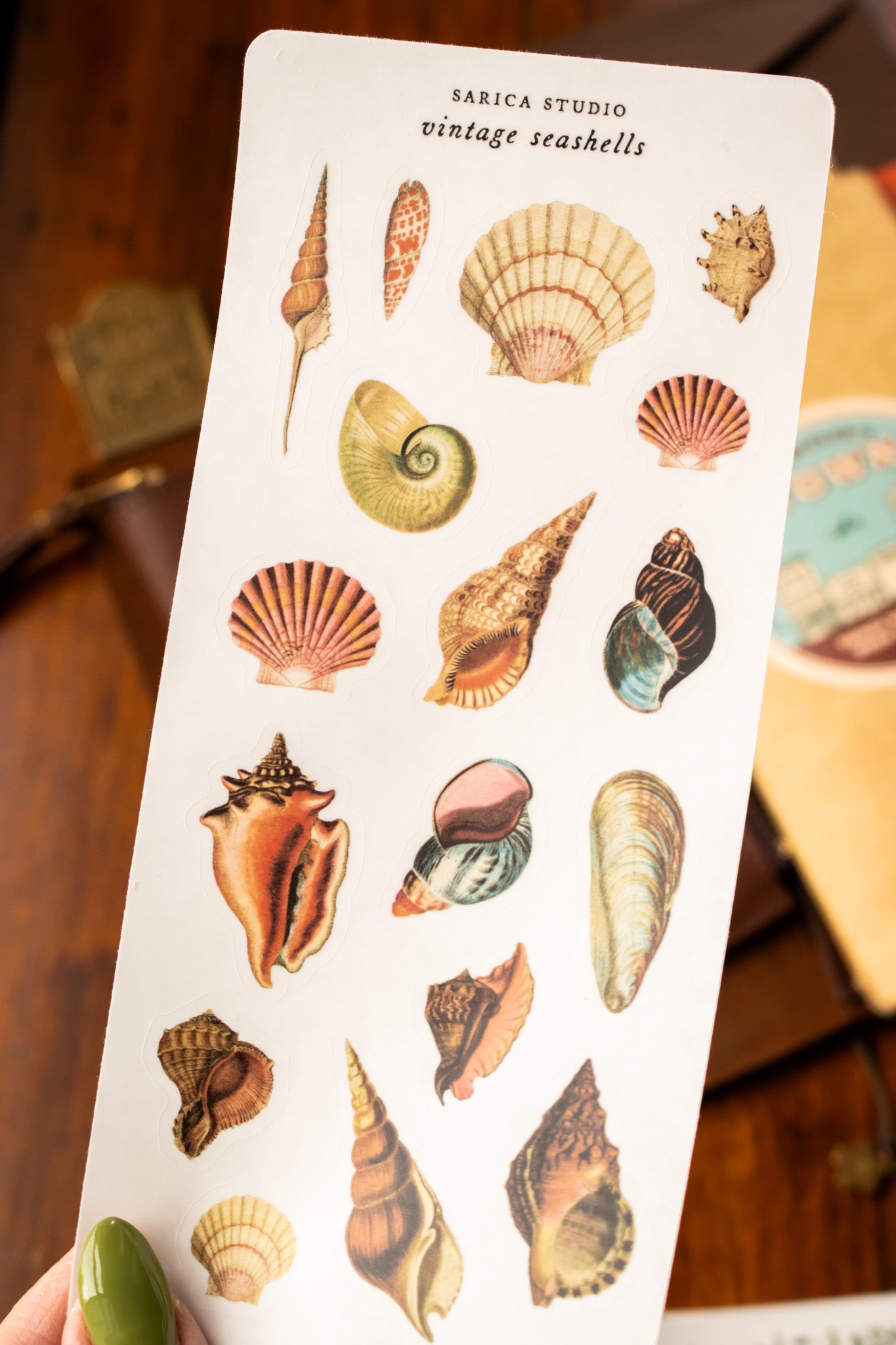 Vintage Seashells Stickers