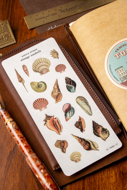 Vintage Seashells Stickers