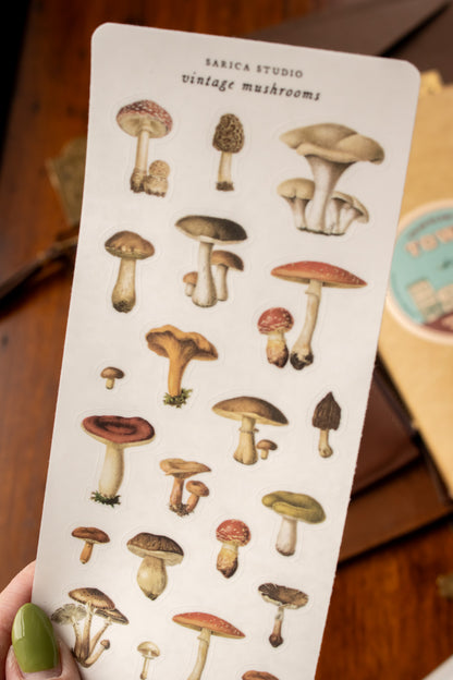 Vintage Mushrooms Stickers
