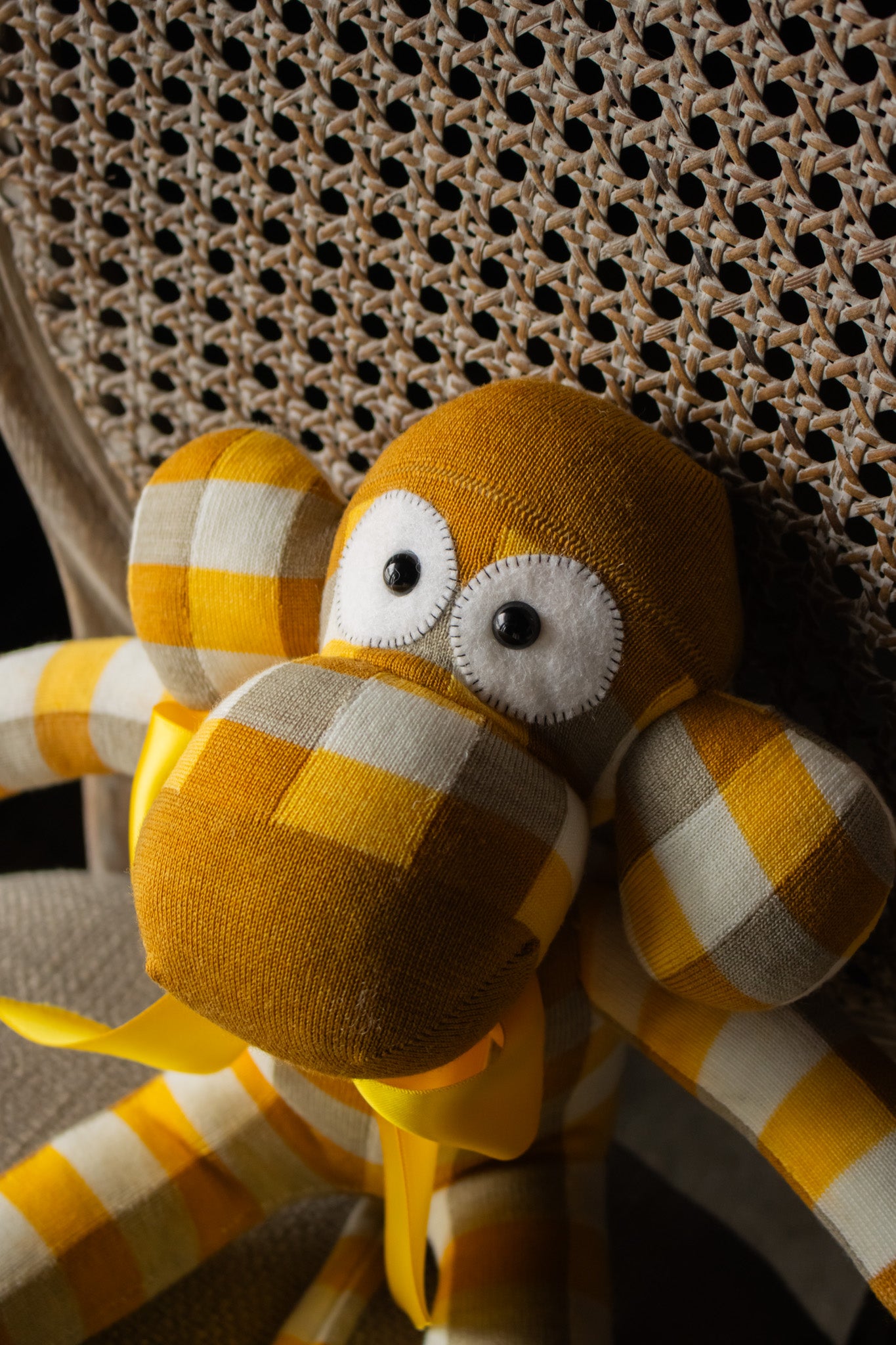 Monkey - Barclay Higgins