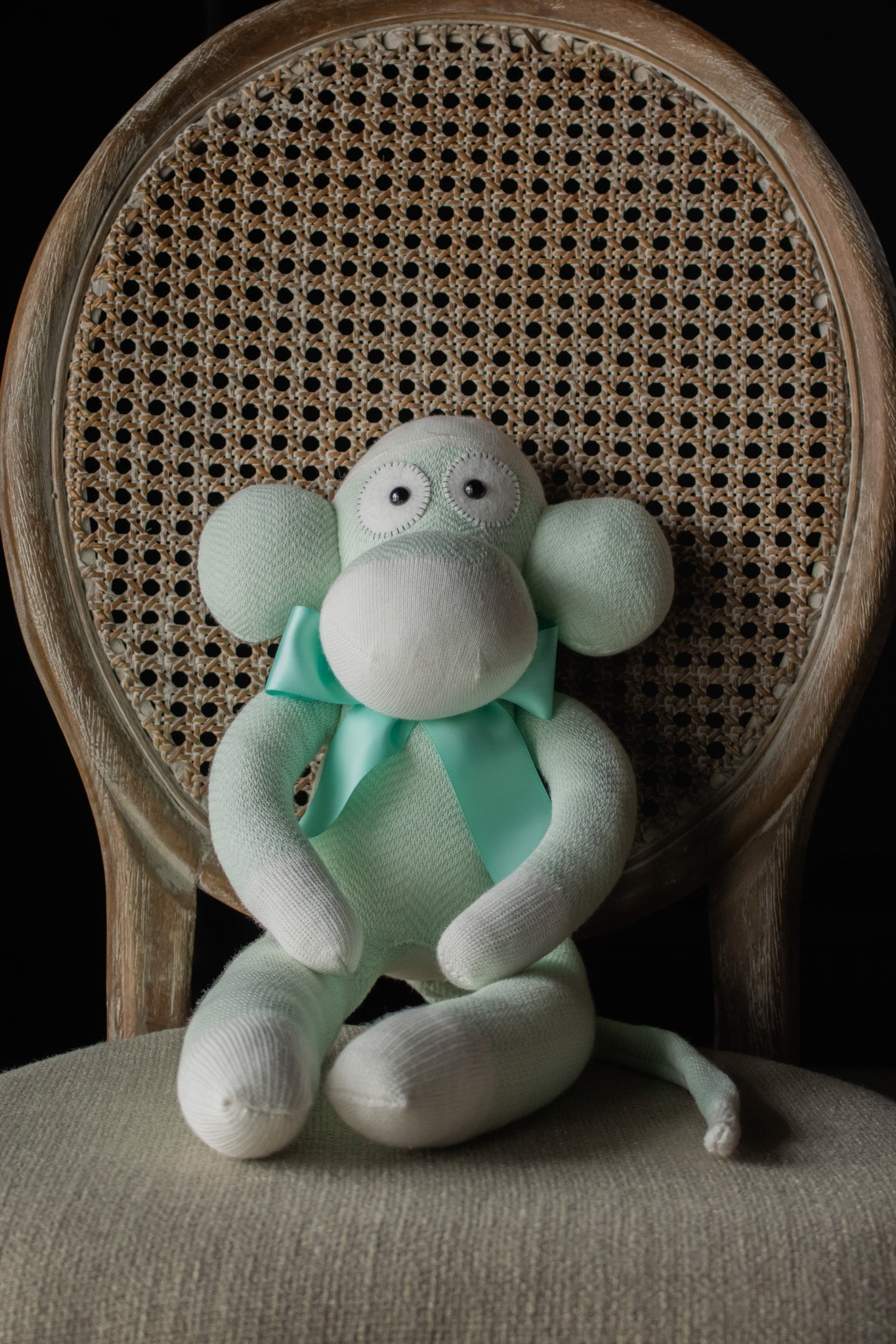 Monkey - Lesley Middleton