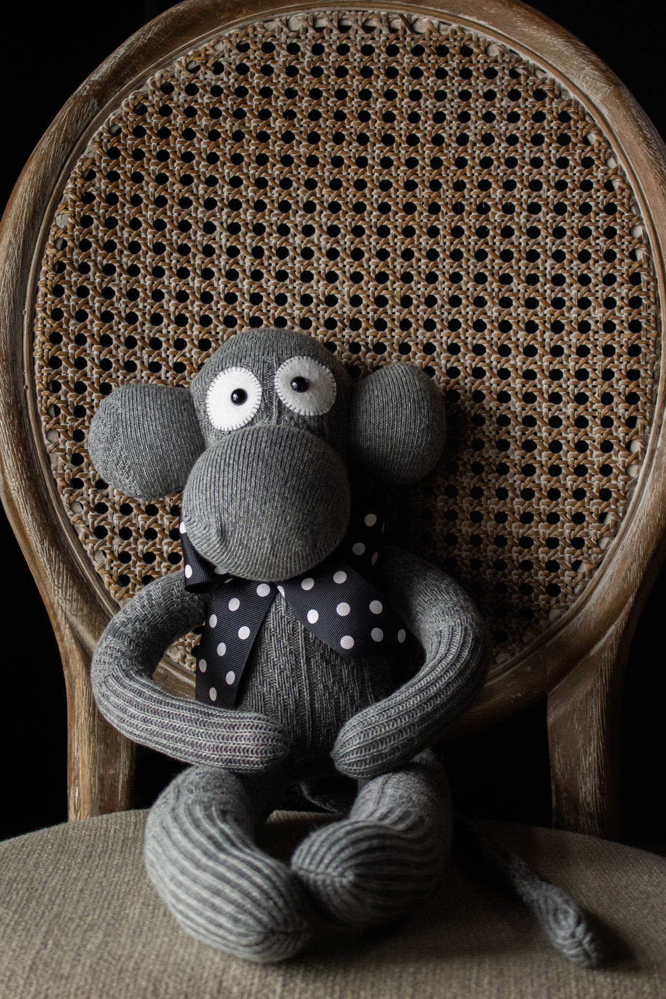 Monkey - Giff Darnell